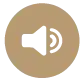 speaker_on_icon